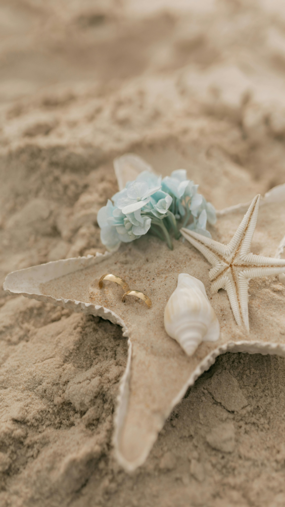 wilmington north carolina + myrtle beach wedding planner; wilmington nc wedding planner; Carolina Beach wedding planner